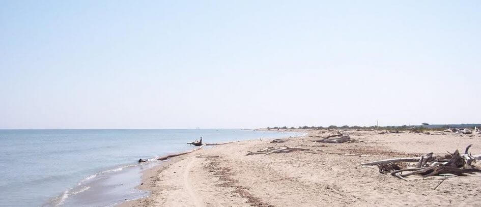 Lido Di Spina Spiaggia Gay Friendly A Ferrara